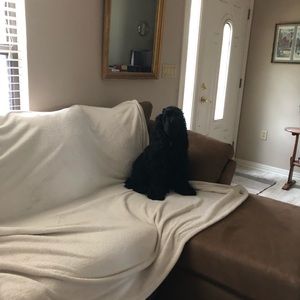 Meet your Posher, Catherine